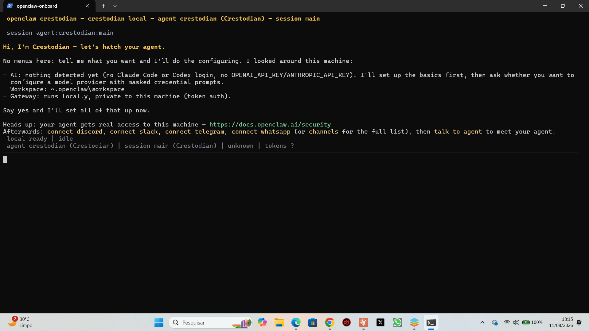 Assistente Crestodian do OpenClaw se apresentando no terminal do Windows